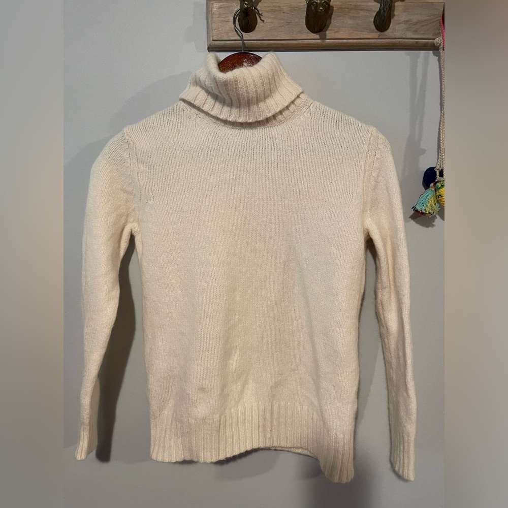 The Limited turtleneck sweater